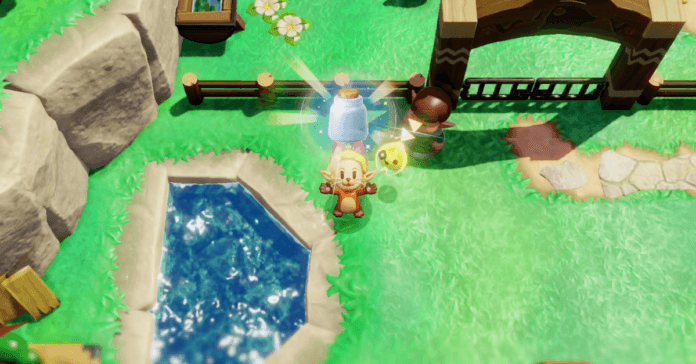 All Fairy Bottles in Zelda: Echoes of Wisdom