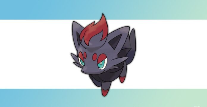 How to get Zorua and shiny Zorua in Pokémon Go